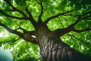 a tree with green leaves and sunlight. AI-Generated photo