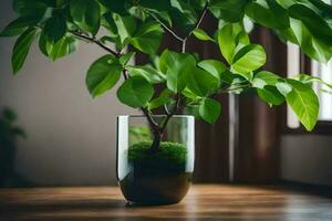 un en conserva planta en un mesa en frente de un ventana. generado por ai foto