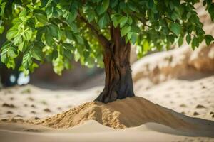 a tree growing out of the sand in the desert. AI-Generated photo