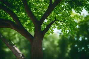 a tree with green leaves in the background. AI-Generated photo