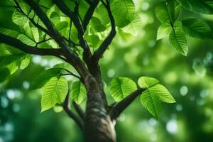 a tree with green leaves in front of a green background. AI-Generated photo