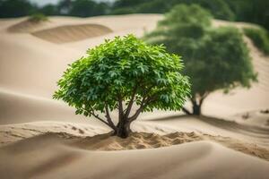 a small tree is growing in the middle of a desert. AI-Generated photo