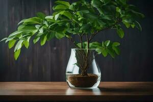 un en conserva planta en un vaso florero en un mesa. generado por ai foto