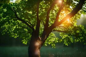 the sun shines through the leaves of a tree. AI-Generated photo