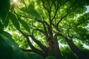 the sun shines through the leaves of a tree. AI-Generated photo