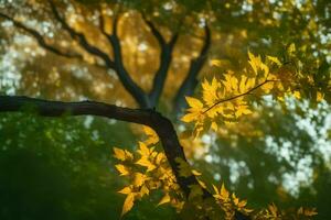 a tree with yellow leaves in the sunlight. AI-Generated photo