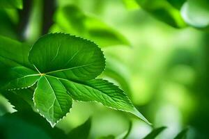 un hoja es mostrado en el primer plano de un verde antecedentes. generado por ai foto