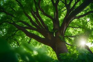 el Dom brilla mediante el hojas de un árbol. generado por ai foto