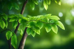 verde hojas en un árbol. generado por ai foto