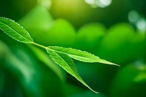 a green leaf on a tree branch. AI-Generated photo