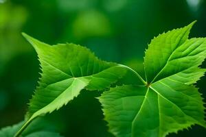 a close up of a green leaf. AI-Generated photo