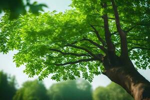 a tree is shown in the foreground with green leaves. AI-Generated photo