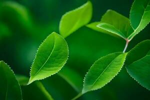 verde hojas en un árbol. generado por ai foto