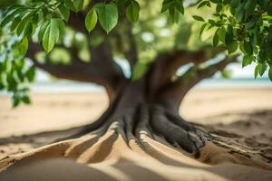 a tree with roots on the sand. AI-Generated photo