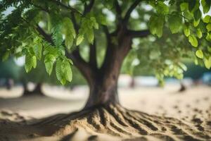 un árbol con raíces creciente fuera de el arena. generado por ai foto