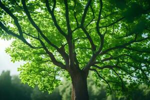 a tree is shown in the sunlight with green leaves. AI-Generated photo