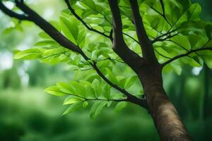 a tree with green leaves in front of a green background. AI-Generated photo