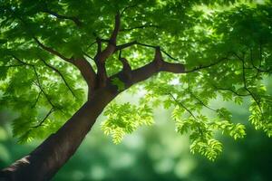 a tree with green leaves in the sunlight. AI-Generated photo