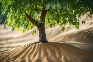 a tree growing out of the sand in the desert. AI-Generated photo