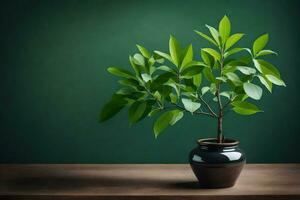 a small plant in a vase on a table. AI-Generated photo