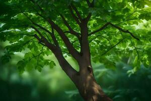 a tree with green leaves in the middle of a forest. AI-Generated photo