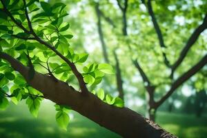 a tree branch with green leaves in the sunlight. AI-Generated photo