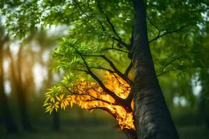 a tree with fire coming out of it in the middle of the forest. AI-Generated photo