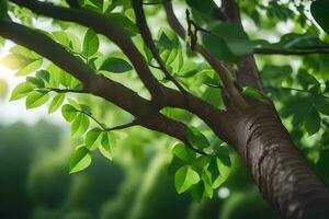 a tree branch with green leaves in the sunlight. AI-Generated photo