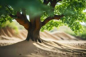 a tree in the desert with sand and dirt. AI-Generated photo