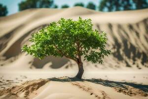 a tree growing in the desert. AI-Generated photo