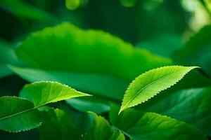 a close up of green leaves in the forest. AI-Generated photo