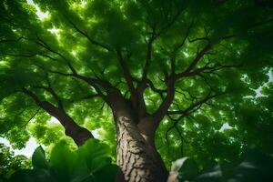 a tree is seen from below with green leaves. AI-Generated photo