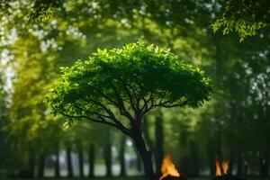 a tree in the middle of a forest with a fire. AI-Generated photo