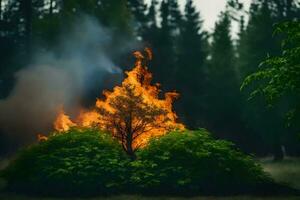 a bush is burning in the middle of a forest. AI-Generated photo