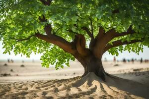 a tree on the beach with sand in the background. AI-Generated photo