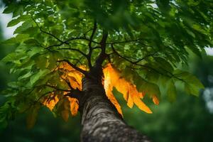 a tree with bright green leaves and yellow light. AI-Generated photo