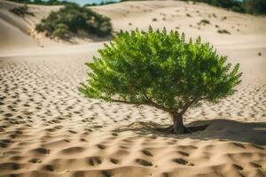 a lone tree in the middle of a desert. AI-Generated photo