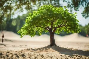 a tree growing out of the sand in the middle of a field. AI-Generated photo