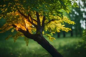 a tree with yellow leaves in the middle of a field. AI-Generated photo