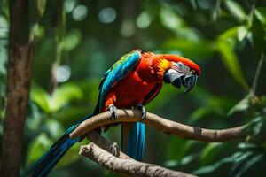 a colorful parrot sits on a branch in the forest. AI-Generated photo