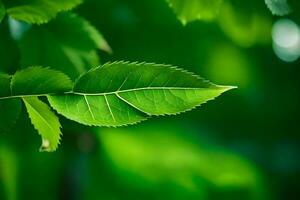 un cerca arriba de un hoja en un árbol. generado por ai foto