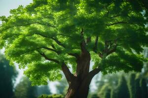 un árbol es mostrado en un verde campo. generado por ai foto