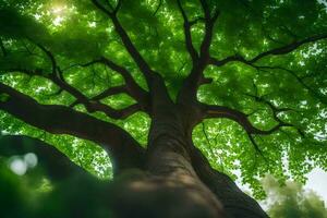 a tree is seen from below with green leaves. AI-Generated photo