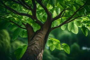 un árbol con verde hojas en el antecedentes. generado por ai foto