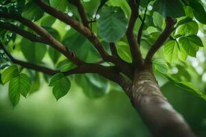 a tree with green leaves and a blurry background. AI-Generated photo