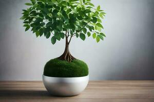 un pequeño árbol en un blanco maceta en un mesa. generado por ai foto