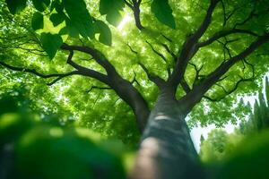 a tree is seen from below with green leaves. AI-Generated photo