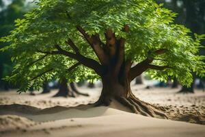a tree is standing in the sand with its roots. AI-Generated photo