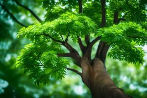 un árbol con verde hojas en el antecedentes. generado por ai foto