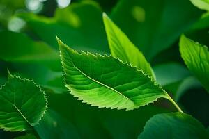 a close up of green leaves on a tree. AI-Generated photo